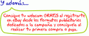 Skype y Ebay te regalan una webcam